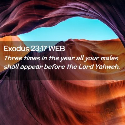 Picture 02 - Exodus 23:17 WEB - Three times in the year all your males shall - Bible Verse Picture