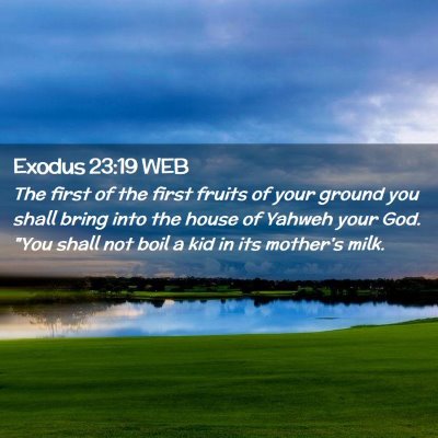 Picture 02 - Exodus 23:19 WEB - The first of the first fruits of your ground you - Bible Verse Picture