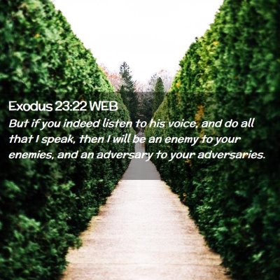 Picture 02 - Exodus 23:22 WEB - But if you indeed listen to his voice, and do all - Bible Verse Picture