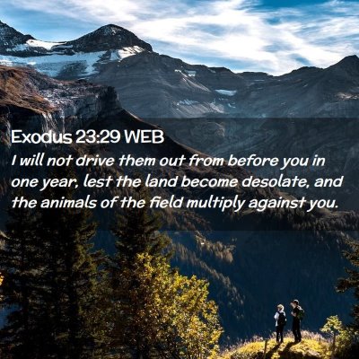 Picture 02 - Exodus 23:29 WEB - I will not drive them out from before you in one - Bible Verse Picture
