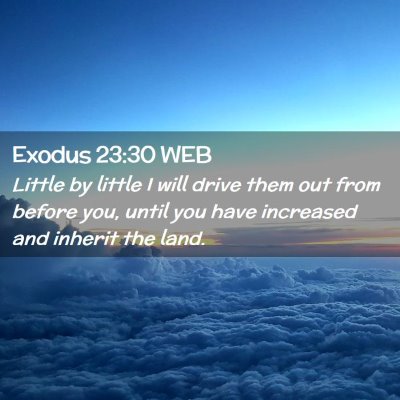 Picture 02 - Exodus 23:30 WEB - Little by little I will drive them out from - Bible Verse Picture