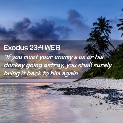 Picture 02 - Exodus 23:4 WEB - 