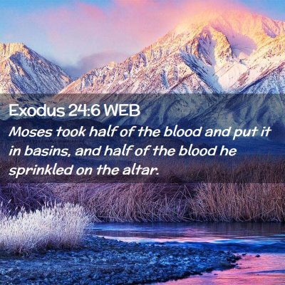 Picture 02 - Exodus 24:6 WEB - Moses took half of the blood and put it in - Bible Verse Picture