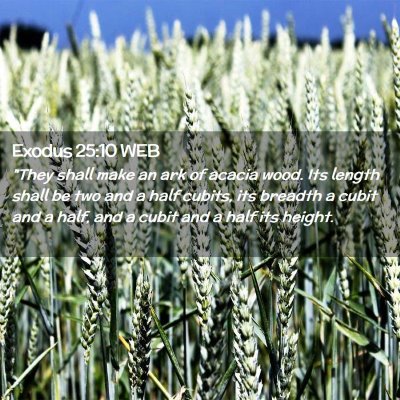 Picture 02 - Exodus 25:10 WEB - 