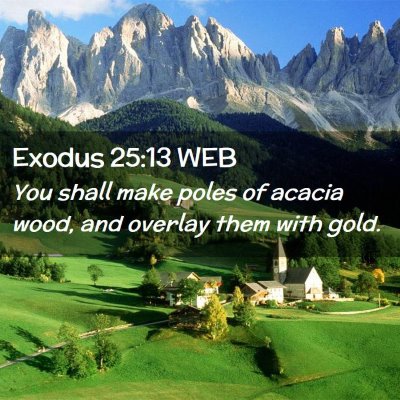 Picture 02 - Exodus 25:13 WEB - You shall make poles of acacia wood, and overlay - Bible Verse Picture