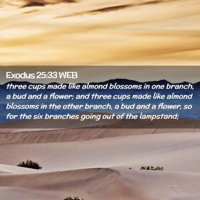 Picture 02 - Exodus 25:33 WEB - three cups made like almond blossoms in one - Bible Verse Picture