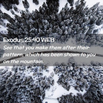 Picture 02 - Exodus 25:40 WEB - See that you make them after their pattern, which - Bible Verse Picture