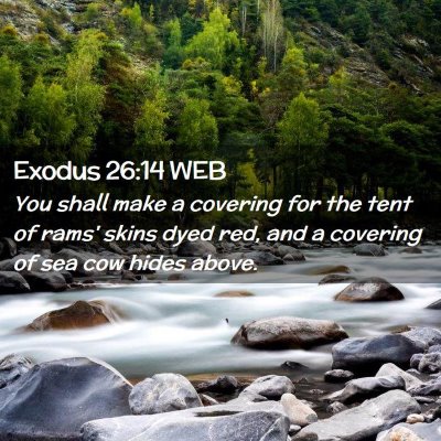 Picture 02 - Exodus 26:14 WEB - You shall make a covering for the tent of rams' - Bible Verse Picture