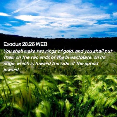 Picture 02 - Exodus 28:26 WEB - You shall make two rings of gold, and you shall - Bible Verse Picture