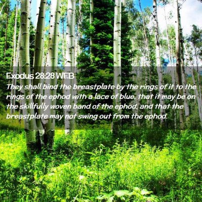 Picture 02 - Exodus 28:28 WEB - They shall bind the breastplate by the rings of - Bible Verse Picture