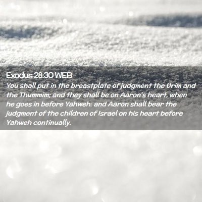 Picture 02 - Exodus 28:30 WEB - You shall put in the breastplate of judgment the - Bible Verse Picture