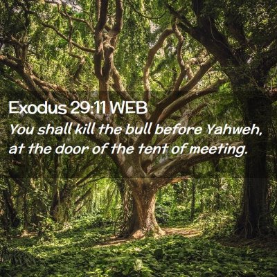 Picture 02 - Exodus 29:11 WEB - You shall kill the bull before Yahweh, at the - Bible Verse Picture
