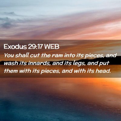 Picture 02 - Exodus 29:17 WEB - You shall cut the ram into its pieces, and wash - Bible Verse Picture