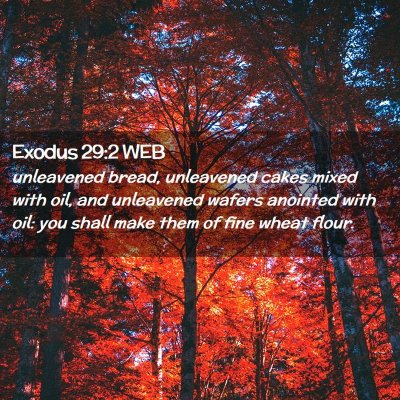 Picture 02 - Exodus 29:2 WEB - unleavened bread, unleavened cakes mixed with - Bible Verse Picture