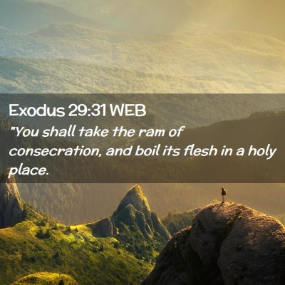 Picture 02 - Exodus 29:31 WEB - 