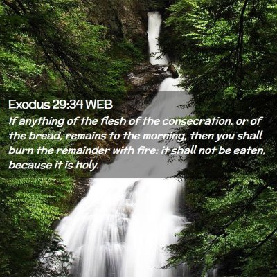 Picture 02 - Exodus 29:34 WEB - If anything of the flesh of the consecration, or - Bible Verse Picture