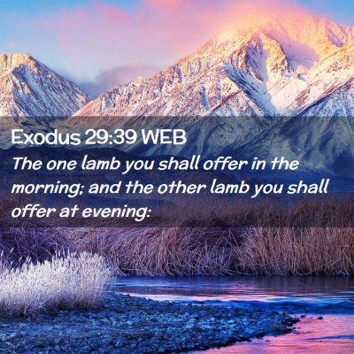 Picture 02 - Exodus 29:39 WEB - The one lamb you shall offer in the morning; and - Bible Verse Picture