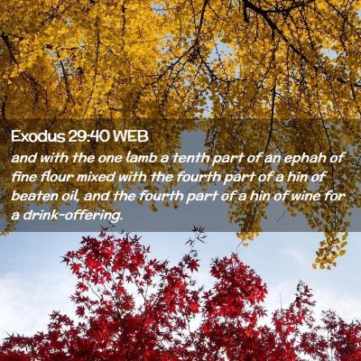 Picture 02 - Exodus 29:40 WEB - and with the one lamb a tenth part of an ephah of - Bible Verse Picture