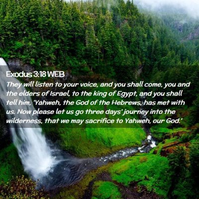 Picture 02 - Exodus 3:18 WEB - They will listen to your voice, and you shall - Bible Verse Picture