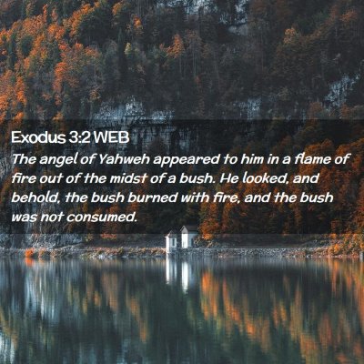 Picture 02 - Exodus 3:2 WEB - The angel of Yahweh appeared to him in a flame of - Bible Verse Picture