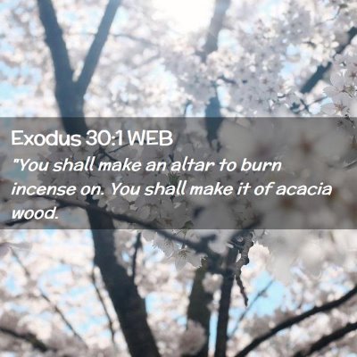 Picture 02 - Exodus 30:1 WEB - 