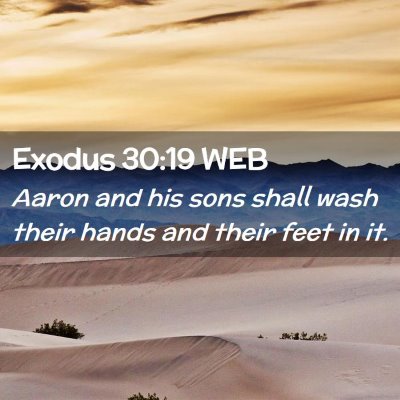 Picture 02 - Exodus 30:19 WEB - Aaron and his sons shall wash their hands and - Bible Verse Picture
