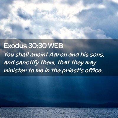 Picture 02 - Exodus 30:30 WEB - You shall anoint Aaron and his sons, and sanctify - Bible Verse Picture