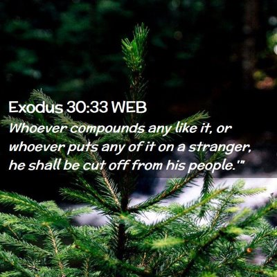 Picture 02 - Exodus 30:33 WEB - Whoever compounds any like it, or whoever puts - Bible Verse Picture