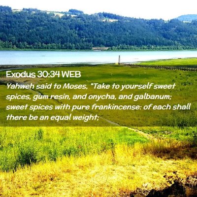 Picture 02 - Exodus 30:34 WEB - Yahweh said to Moses, 