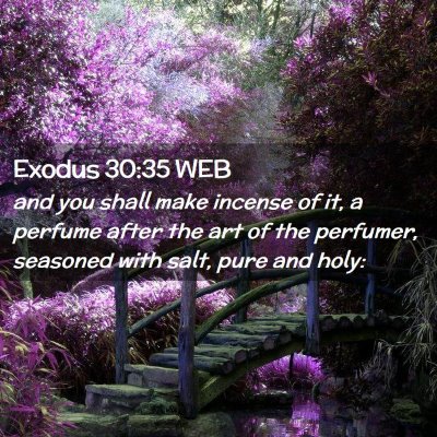 Picture 02 - Exodus 30:35 WEB - and you shall make incense of it, a perfume after - Bible Verse Picture