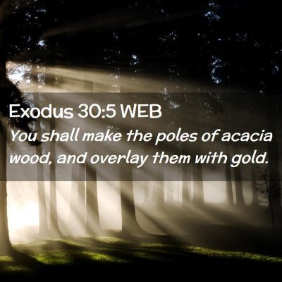 Picture 02 - Exodus 30:5 WEB - You shall make the poles of acacia wood, and - Bible Verse Picture