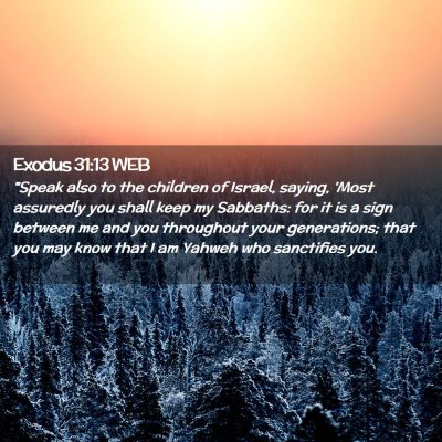 Picture 02 - Exodus 31:13 WEB - 