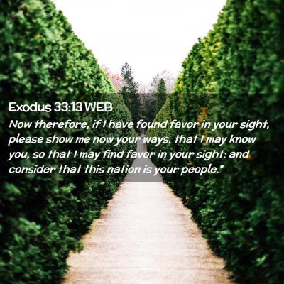 Picture 02 - Exodus 33:13 WEB - Now therefore, if I have found favor in your - Bible Verse Picture