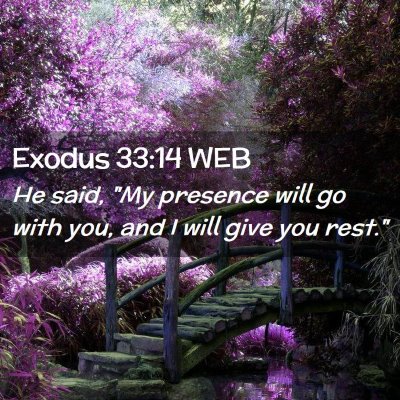 Picture 02 - Exodus 33:14 WEB - He said, 