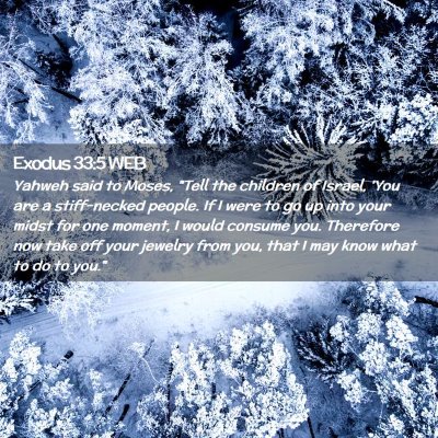 Picture 02 - Exodus 33:5 WEB - Yahweh said to Moses, 