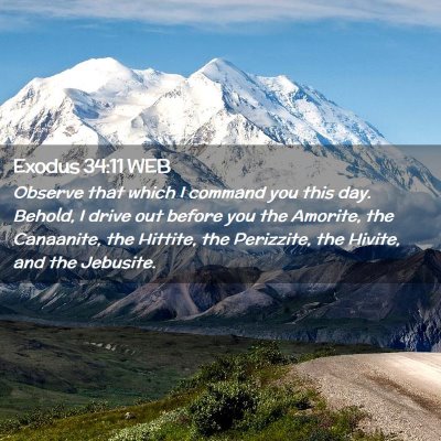 Picture 02 - Exodus 34:11 WEB - Observe that which I command you this day. - Bible Verse Picture