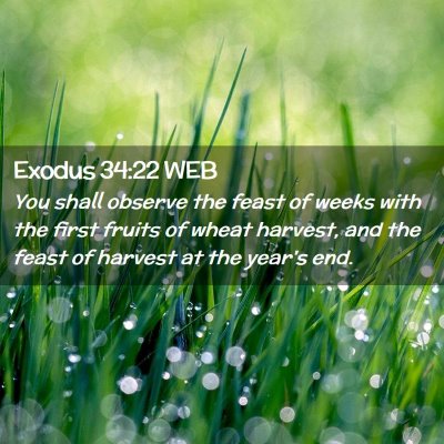 Picture 02 - Exodus 34:22 WEB - You shall observe the feast of weeks with the - Bible Verse Picture