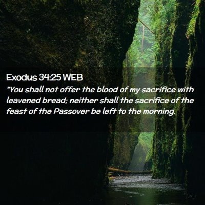 Picture 02 - Exodus 34:25 WEB - 
