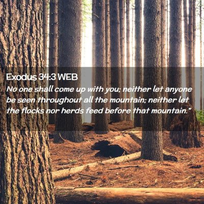 Picture 02 - Exodus 34:3 WEB - No one shall come up with you; neither let anyone - Bible Verse Picture