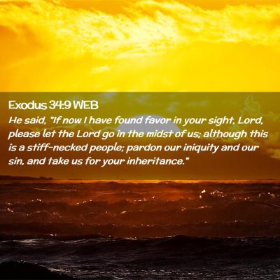 Picture 02 - Exodus 34:9 WEB - He said, 