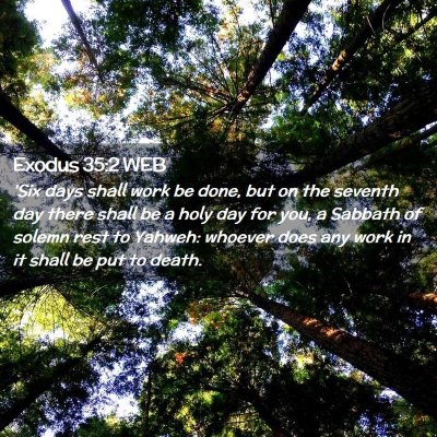 Picture 02 - Exodus 35:2 WEB - 'Six days shall work be done, but on the seventh - Bible Verse Picture