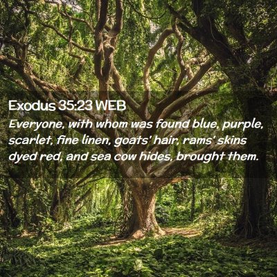 Picture 02 - Exodus 35:23 WEB - Everyone, with whom was found blue, purple, - Bible Verse Picture