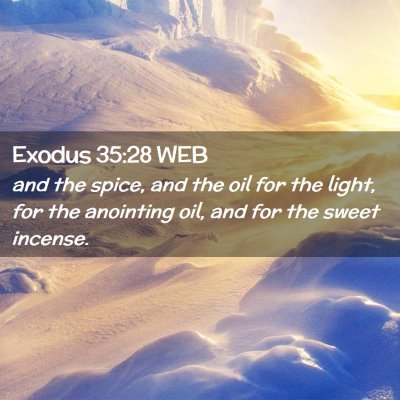 Picture 02 - Exodus 35:28 WEB - and the spice, and the oil for the light, for the - Bible Verse Picture