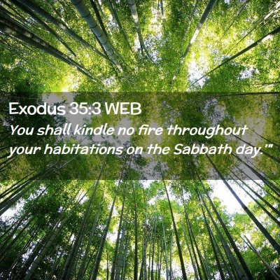 Picture 02 - Exodus 35:3 WEB - You shall kindle no fire throughout your - Bible Verse Picture