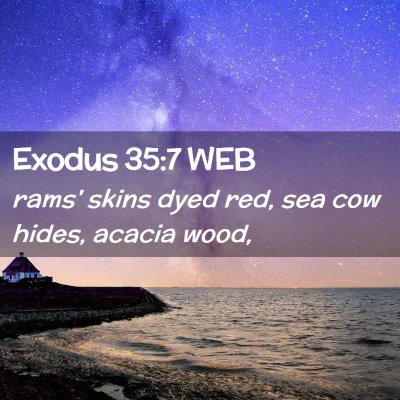 Picture 02 - Exodus 35:7 WEB - rams' skins dyed red, sea cow hides, acacia - Bible Verse Picture