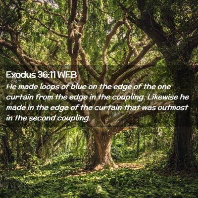 Picture 02 - Exodus 36:11 WEB - He made loops of blue on the edge of the one - Bible Verse Picture