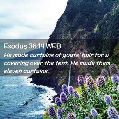 Picture 02 - Exodus 36:14 WEB - He made curtains of goats' hair for a covering - Bible Verse Picture