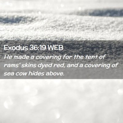 Picture 02 - Exodus 36:19 WEB - He made a covering for the tent of rams' skins - Bible Verse Picture