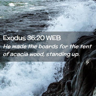Picture 02 - Exodus 36:20 WEB - He made the boards for the tent of acacia wood, - Bible Verse Picture
