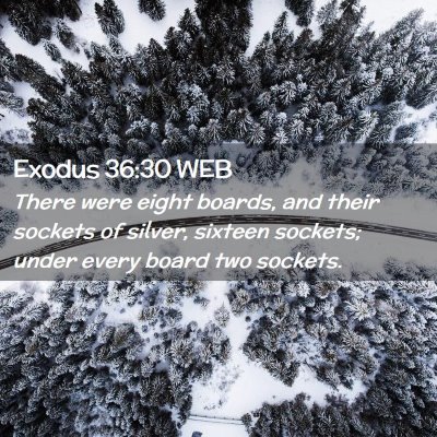 Picture 02 - Exodus 36:30 WEB - There were eight boards, and their sockets of - Bible Verse Picture